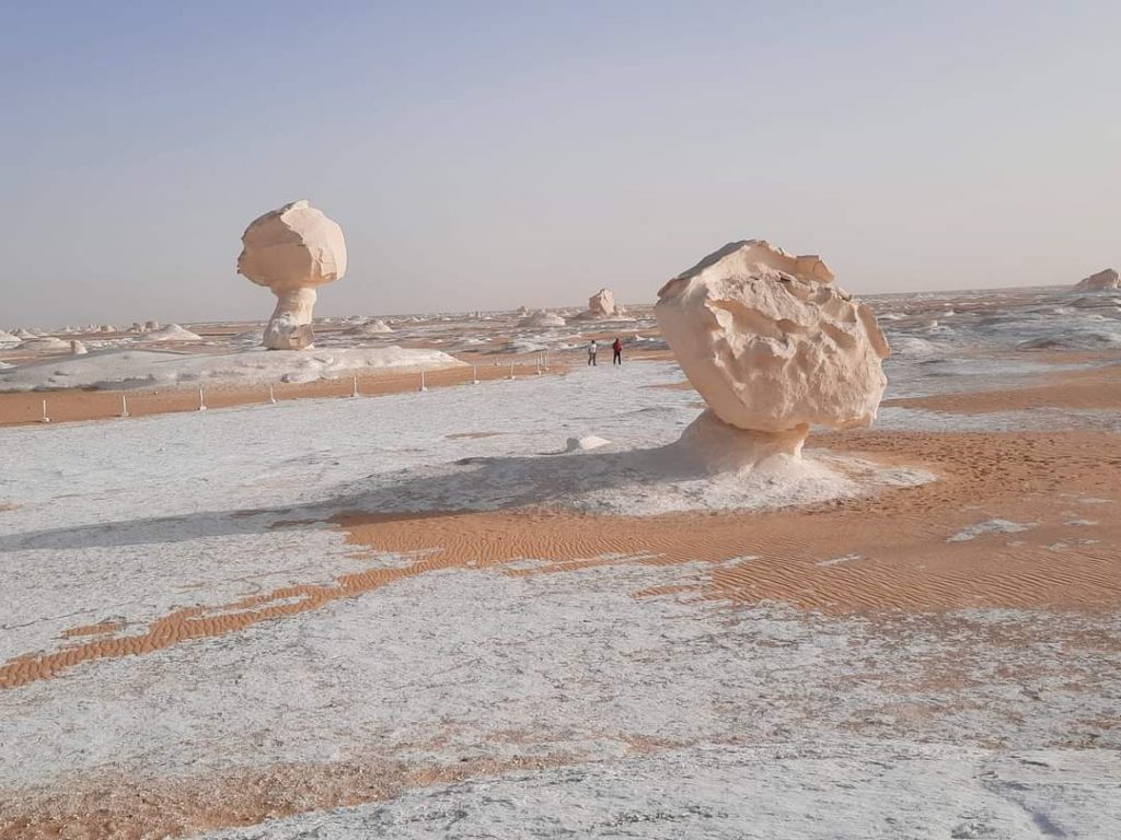 আফছার হোসাইন (কায়রো-মিশর থেকে)